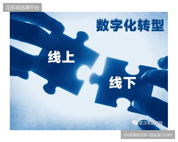 赛事IP流量导入后为何转化率低迷,会员系统缺乏深度资产沉淀是核心病灶 赛事IP流量导入后为何转化率低迷,会员系统缺乏深度资产沉淀是核心病灶